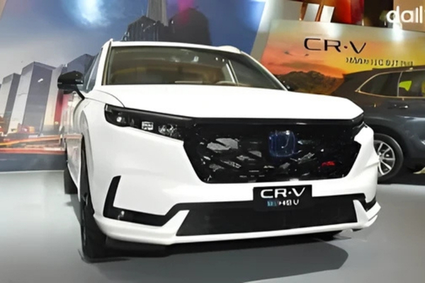 Giá thuê xe 7 chỗ có tài xế đi du lịch cho gia đình