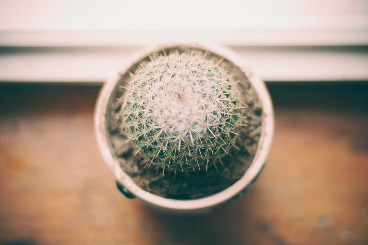 Minh họa chi tiết 1 cho Top quán ăn nổi tiếng tại Đà Nẵng năm 2026