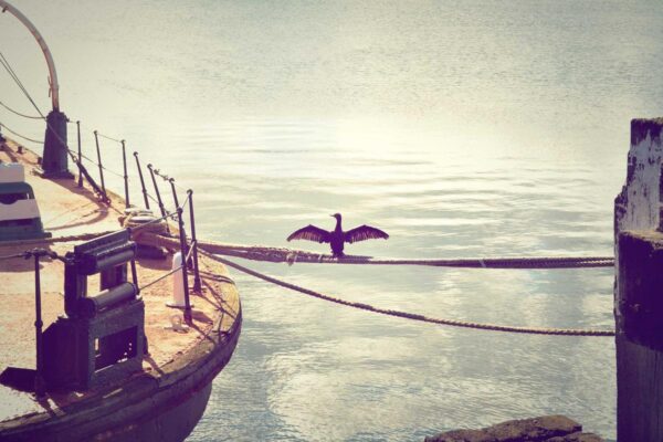 Ảnh đại diện chuẩn SEO cho bài viết So Sánh Các Dịch Vụ Tại Sân Bay Cam Ranh 2026: Tìm Kiếm Giải Pháp Tuyệt Vời Cho Hành Trình Của Bạn