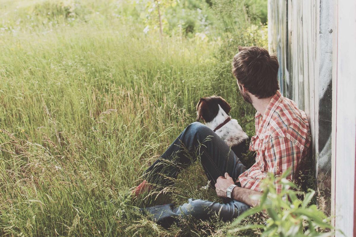 Minh họa chi tiết 3 cho Thuê xe 45 chỗ tại Kiên Giang